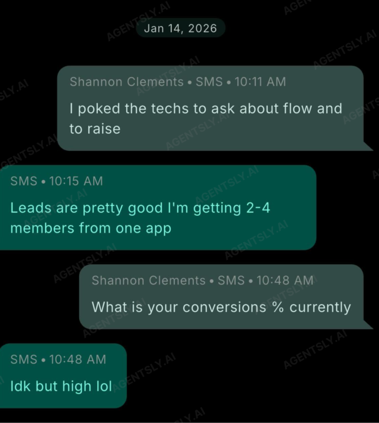 Agentsly review2